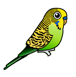 Tennis Coaching with top coach Ian Peter-Budge